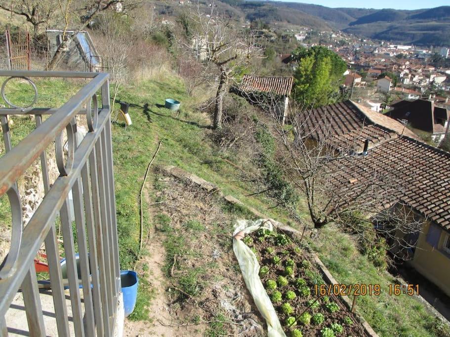 Maison De Vigne Renovee Saint-Affrique Extérieur photo